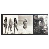 Collection of 21 Vintage Hollywood Actress Publicity Photos Featuring Glynis Johns, Haley Mills, Ginger Rogers, Julie Christie and more