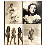 Collection of 20 Classic Hollywood Starlet Black and White Photographs Featuring Hedy Lamarr, Victoria Vetri, Magda Konopka, Imogen Hassall, Dawn Adams and more