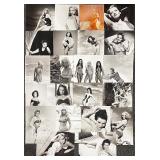 Collection of 22 Classic Hollywood Pin-Up Photographs Featuring Julie Newmar, Donna Mills, Lola Albringet, Hazel Court and more