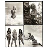 Collection of 22 Classic Hollywood Pin-Up Photographs Featuring Julie Newmar, Donna Mills, Lola Albringet, Hazel Court and more