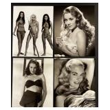 Collection of 20 Vintage Glamour and Hollywood Actress Photos Featuring Anne Francis, Claudia Cardinale, Nina Foch, Anouk Aimee and more