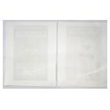 Set of 2 Black Cat Magazine Art Prints, December 1900 and February 1897