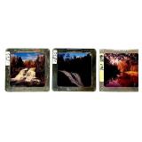 Large Collection of Vintage 35mm Photo Slides with Cases