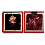 Large Collection of Vintage 35mm Photo Slides with Cases