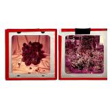 Large Collection of Vintage 35mm Photo Slides with Cases