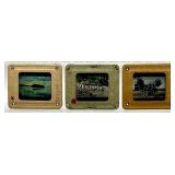Large Collection of Vintage 35mm Photo Slides with Cases