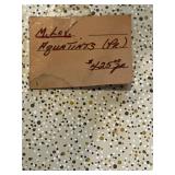 Framed Hand-Colored Engraving Dudley Castle Gate with Figures