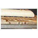 Antique Framed Portrait Painting of Child with Ornate Artisan Made Gilt Frame