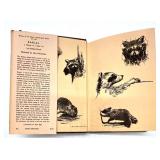 Vintage Books Collection with Heart-Shaped Box and Amber Glass Dish