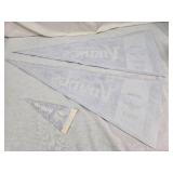 Minnesota Vikings Pennants Including Final Season Mall of America Field Pennants