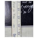 16 x 20 Babe Ruth Photo with Multiple Hall of Fame Players Autographs - Larussa, Lou Brock, Bench, Murray, Smith, Kaline and More