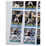 Lot of Minnesota Twins 2002 Central Division Champions Baseball Cards Featuring Torii Hunter