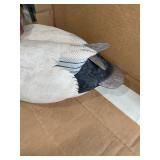 canvas back duck decoy