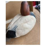 canvas back duck decoy