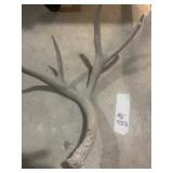 Antler