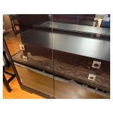 Michael Weiss Lighted Mirrored Back Display Cabinet with Glass Doors and Drawer