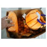 NEW Halloween Lights, Plush Pumpkin Toys, Press-On Nails, Nail Polish and More