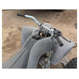 Tao Tao 124 CM Kids 4 Wheeler