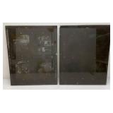 Antique Glass Printing Plates With RARE Monkeys And Elephant Artwork (Very Cool) 16" x 20"