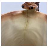 Misc. Vintage Collectible Items