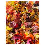 LL - Autumn and Halloween Decor Collection with Pumpkins, Signs, Candle, and Garland