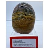 Ocean Jasper Freeform: 667 gm./1 lb. 7.5 oz.
