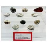 Ocean Jasper Palmstone Lot of 11: 324gm/11.4oz.