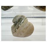 Ocean Jasper Polished Heart Lot of 3: heart 227gm/8oz., heart 169gm/6oz., heart 40gm/1.4oz.