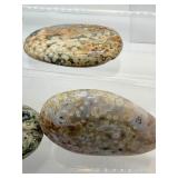 Ocean Jasper Palmstone Lot of o7:1/2 kilo/1.15 lb.