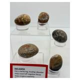 Ibis Jasper Polished Lot of 5: Palmstones & Gallets: 324 gm./11.4 oz.