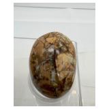 Ibis Jasper Polished Lot of 5: Palmstones & Gallets: 324 gm./11.4 oz.