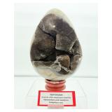 Septarian XL Geode Nodule Egg 2.6 kilo/5 lb. 10 oz.