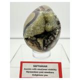 Septarian large egg-shaped geode nodule 779 gm./1 lb. 12 oz.