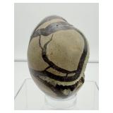 Septarian large egg-shaped geode nodule 779 gm./1 lb. 12 oz.