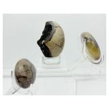 Septarian Mics. Lot of 3: palmstone 135 gm./4.8 oz., palmstone 117 gm./4.2 oz., 1 half egg geode 148 gm./ 5.2 oz. Total Lot Weight: 401 gm./14.1 oz.
