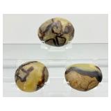Septarian Palmstones Lot of 3: 261 gm/9.2oz.