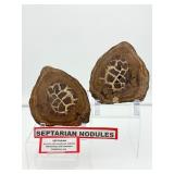 Septarian Nodule Pair 1.33 kilo/.2 lb.