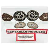 Septarian Nodules Lot of 3: 309 gm./11 oz.
