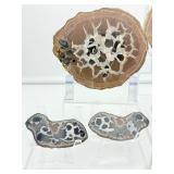 Septarian Nodules: 3 pair of small Septarian nodules 261 gm./9.2 oz.