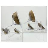 Septarian Nodules: 3 pair of small Septarian nodules 261 gm./9.2 oz.