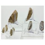 Septarian Nodules: 3 pair of small Septarian nodules 261 gm./9.2 oz.