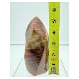 Petrified wood Flame 782 gm./1 lb. 12 oz.