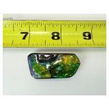 Ammolite Gem Specimen from the KORITE Ammolite Mine, Alberta, Canada 25 gm./.4 oz.