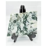 Stunning Tree Agate Slab: 544 gm./1 lb.3 oz.