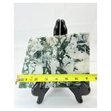 Stunning Tree Agate Slab: 544 gm./1 lb.3 oz.