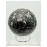 Orthocerus Fossil Lot of 3-Sphere 305 gm./10.8 oz., Egg 185 gm./6.6 oz. and Heart 53 gm./1.9 oz. Total weight of lot=550 gm/1 lb. 9 oz.