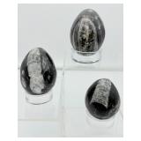 Orthocerus Fossil Lot of 3 Polished Eggs: 220 gm./7.7 oz., 157 gm./5.6 oz., 106 gm./3.8 oz.