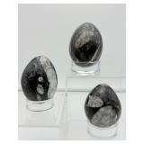 Orthocerus Fossil Lot of 3 Polished Eggs: 220 gm./7.7 oz., 157 gm./5.6 oz., 106 gm./3.8 oz.