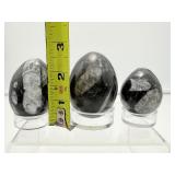 Orthocerus Fossil Lot of 3 Polished Eggs: 220 gm./7.7 oz., 157 gm./5.6 oz., 106 gm./3.8 oz.