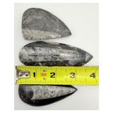 Orthocerus Fossil Lot of 5: 205 gm./7.2 oz.